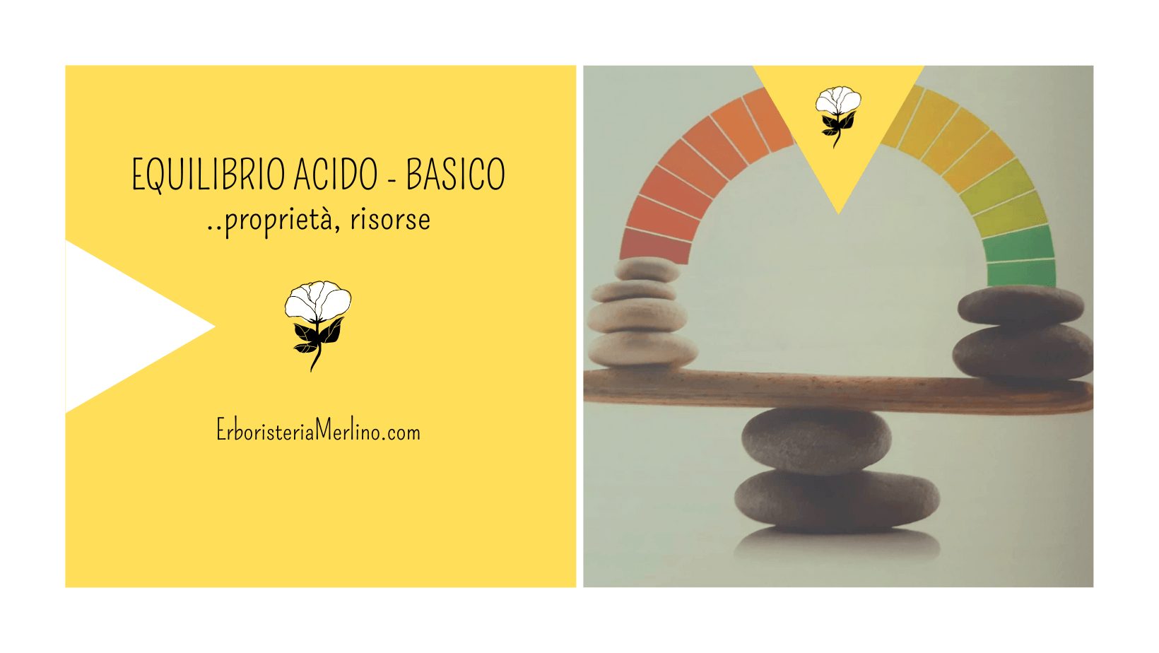 Equilibrio Acido-Base - Erboristeria Merlino® di Novello Vittoria