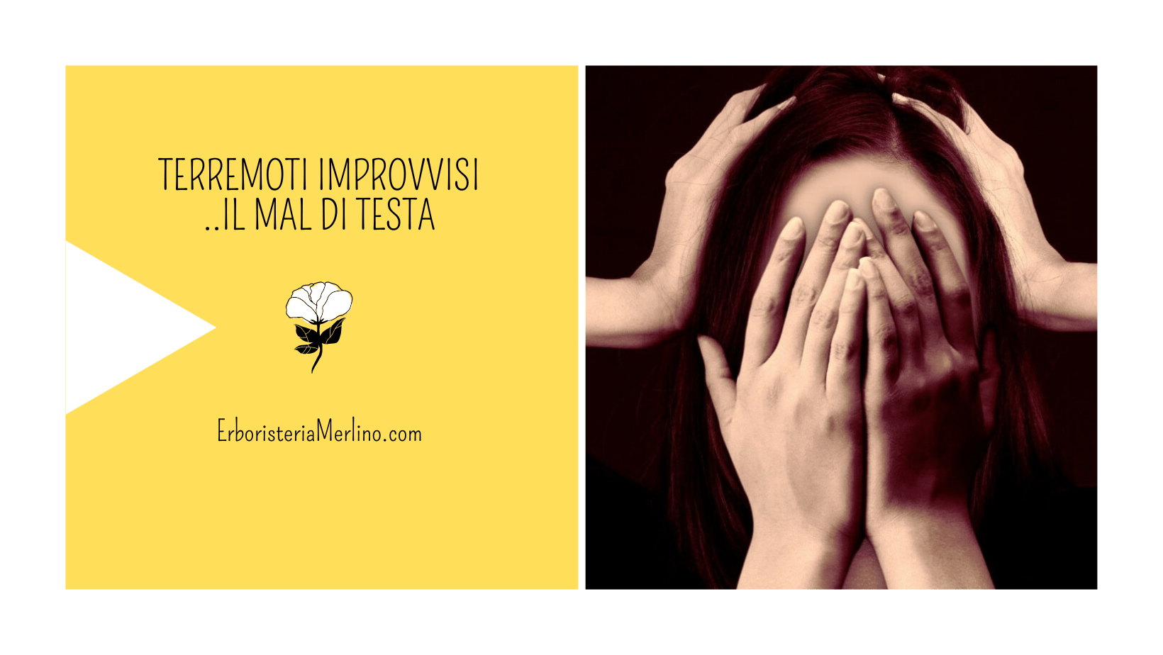 Quando la Testa Duole! - Erboristeria Merlino® di Novello Vittoria