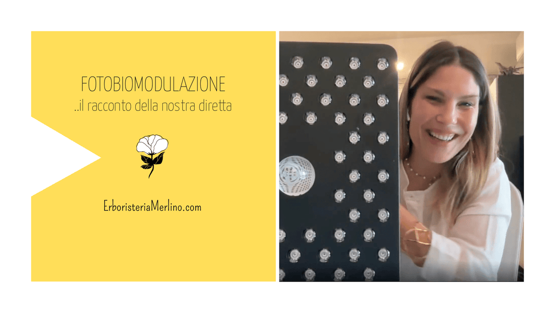 Eravamo in tanti, a parlare di luce - Erboristeria Merlino® di Novello Vittoria