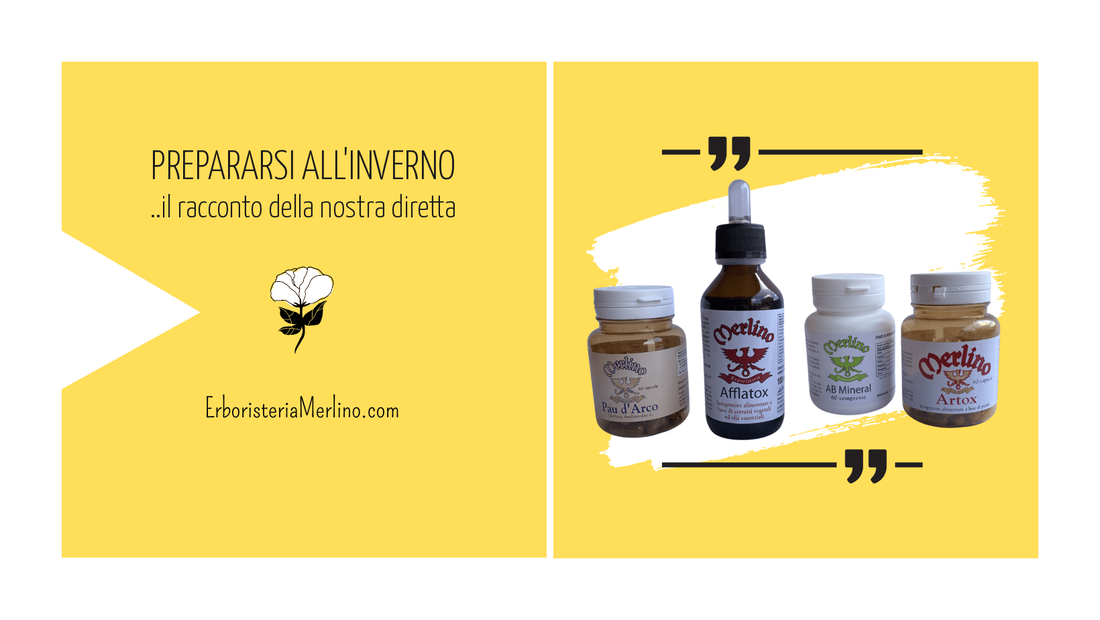 Prepararsi all'inverno, il racconto della nostra diretta - Erboristeria Merlino