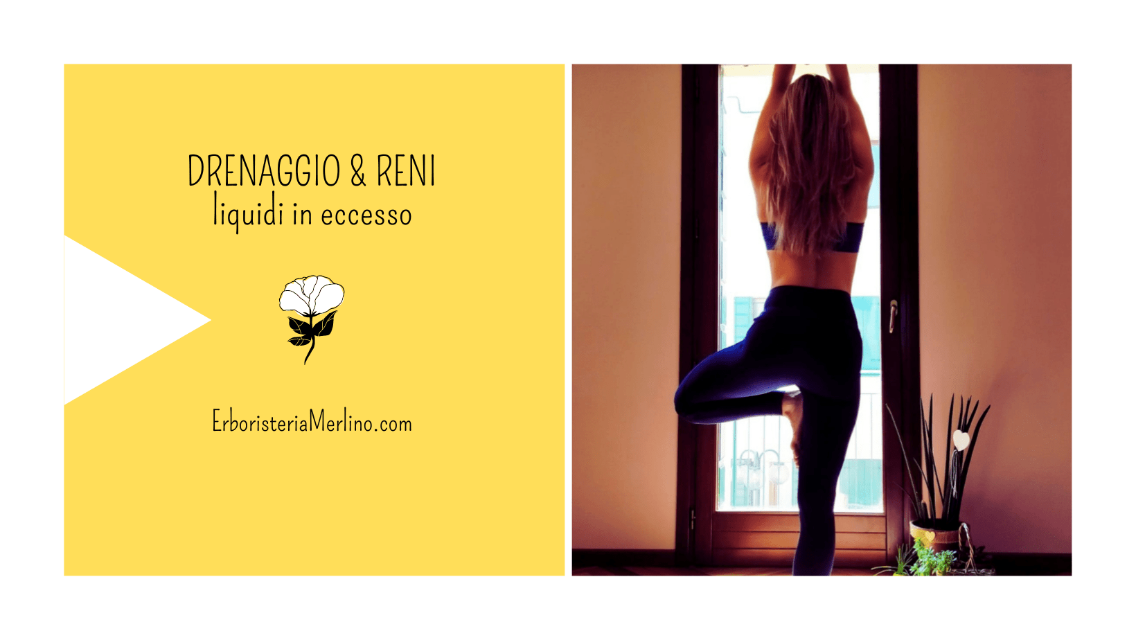 Sovraccarico Tossinico - Erboristeria Merlino® di Novello Vittoria